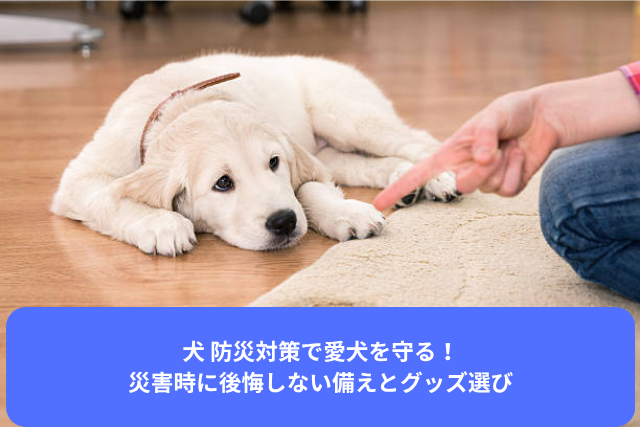 犬 防災対策で愛犬を守る