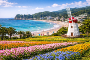 26ecb356-c3c9-4dcf-81a5-f4c056f365f6