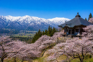 2eb4e9c1-bdbe-4697-89d3-f43677b66b66