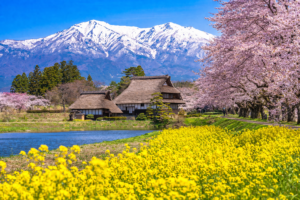 478f1acd-7acf-49e7-9677-6907a1f9fb78