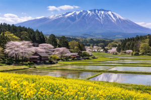 5239f2d9-637f-4958-ae59-ca3e8c7ccbb8