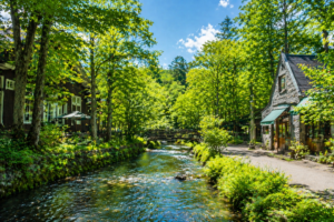 a10188ed-1160-4629-81df-e78336fab56e