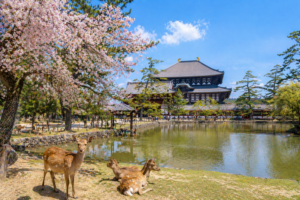 c5278ac3-fa1a-4e07-b383-0e4a7279c1ff