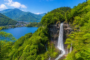 dba9885e-6263-4f34-84ef-bd777388d46c