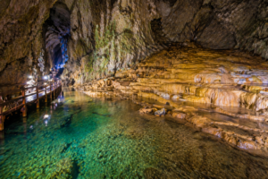 e431d463-b077-4584-8589-38e49a5059ea