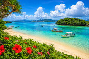 e85e92ad-e13c-43f8-822d-d5cba4c02792